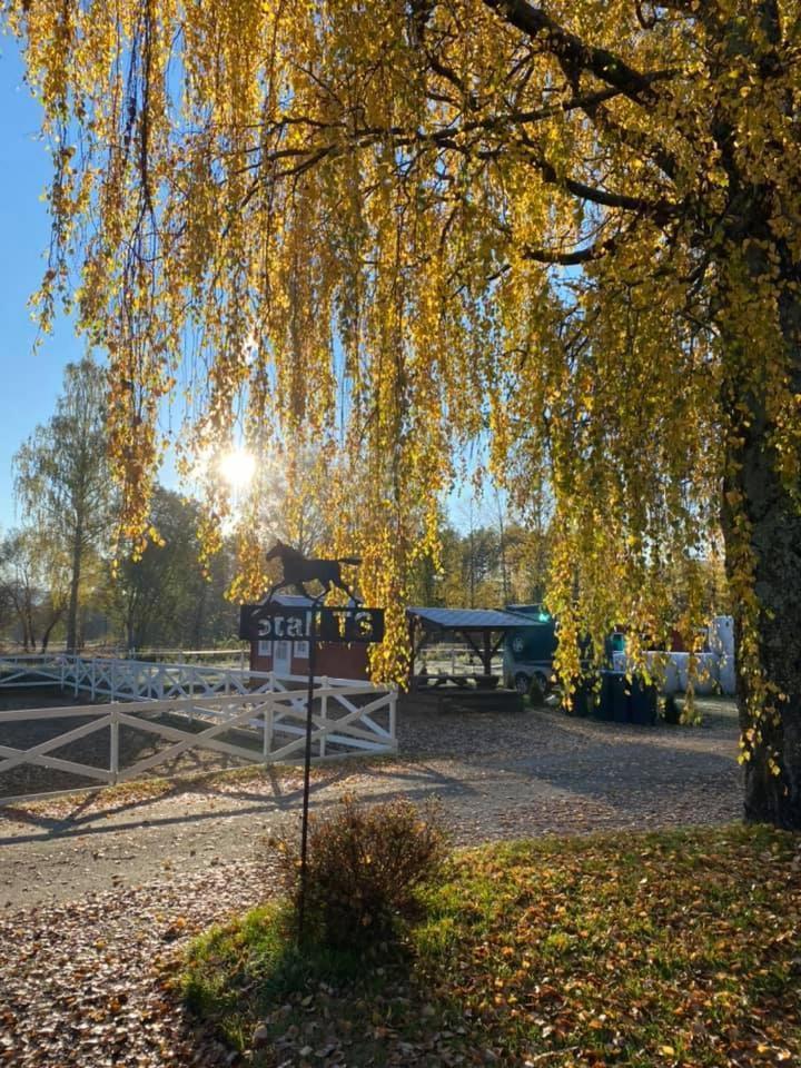 Апартаменты Gardsopphold Нутодден Экстерьер фото
